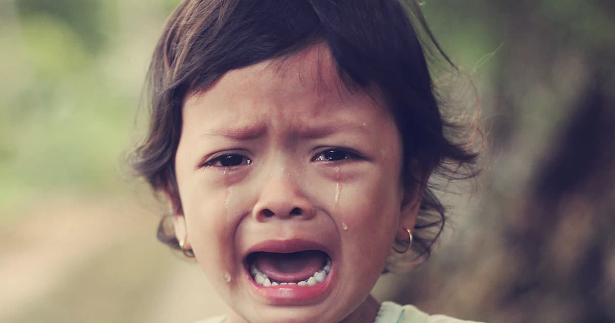 Colère à 2-3 ans : pourquoi elle explose et comment l'accompagner