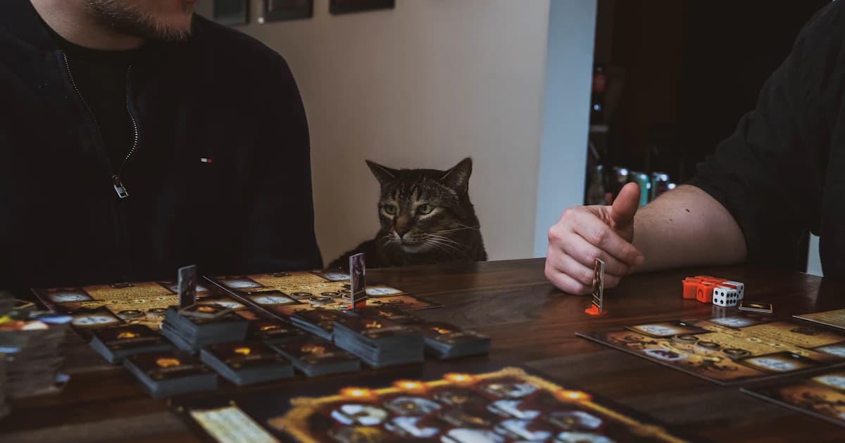 Exploding Kittens : à quel âge, et ce qu'il apprend vraiment